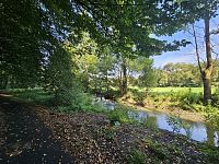 Hezký pozemek - zahrada - 20240903_111613.jpg