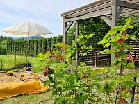 (N370) Prodej chatky v klidné osadě - Ing. Martin Ščerba - 20250623_092031 (7).jpg