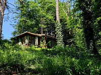 Prodej chaty 3+1, 48 m2 na pozemku 588 m2, Hrusice - 20250613_135153.jpg