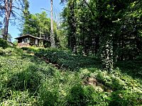 Prodej chaty 3+1, 48 m2 na pozemku 588 m2, Hrusice - 20250613_135234.jpg