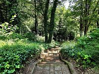 Prodej chaty 3+1, 48 m2 na pozemku 588 m2, Hrusice - 20250613_135415.jpg