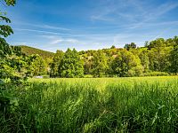 Stavební pozemek 1498 m² – Bohostice u Orlické přehrady - Img 04.jpeg