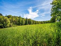 Stavební pozemek 1498 m² – Bohostice u Orlické přehrady - Img 05.jpeg