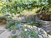 Rodinný dům 2x 3+1 + garsonka, zahrada, velká garáž s dílnou – Brno Černovice - 20250813_174215.jpg