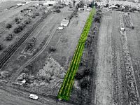 Prodej vinice, 1237 m2 - IMG_1182.jpeg