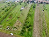 Prodej vinice, 1237 m2 - IMG_1186.jpeg