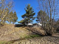 Prodej domu 3+1 v Dlouhé Loučce se zahradou - 20250306_102011.jpg