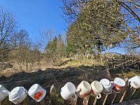 Prodej domu 3+1 v Dlouhé Loučce se zahradou - 20250306_103940.jpg