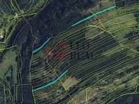 Prodej lesa 33.528 m2 - 0444.jpg