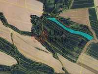 Prodej lesa 33.528 m2 - 0777.jpg