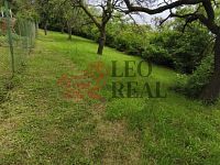 Slavkov u Brna, zahrada, CP 595m2