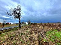 Jedinečný pozemek 140145 m2 v Mnichově Hradišti s výhledem na skalní město - 20231226_135839.jpg