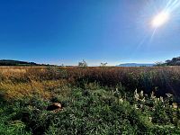 Jedinečný pozemek 140145 m2 v Mnichově Hradišti s výhledem na skalní město - 20240908_091159.jpg