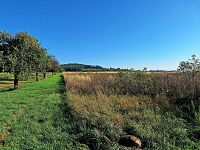 Jedinečný pozemek 140145 m2 v Mnichově Hradišti s výhledem na skalní město - 20240908_091209.jpg