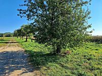 Jedinečný pozemek 140145 m2 v Mnichově Hradišti s výhledem na skalní město - 20240908_091230.jpg