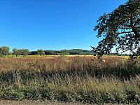 Jedinečný pozemek 140145 m2 v Mnichově Hradišti s výhledem na skalní město - 20240908_091440.jpg