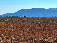 Jedinečný pozemek 140145 m2 v Mnichově Hradišti s výhledem na skalní město - 20240908_093053.jpg