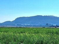 Jedinečný pozemek 140145 m2 v Mnichově Hradišti s výhledem na skalní město - 20240908_093307.jpg