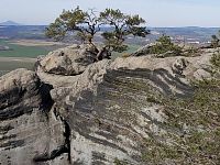 Jedinečný pozemek 140145 m2 v Mnichově Hradišti s výhledem na skalní město - IMG_20200315_201156_181.jpg
