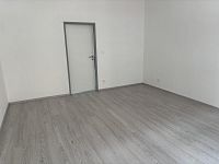 Nabízím prodej bytu 3+1 po rekonstrukci Děčín II. - IMG_0715 (1).jpeg