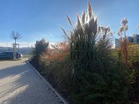 Pronájem bytu 1+kk, 35 m2, novostavba, Oddechová, Praha 5 - Lipence - IMG_8786.jpg