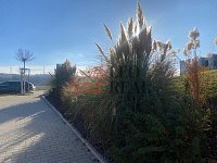 Pronájem bytu 1+kk, 35 m2, novostavba, Oddechová, Praha 5 - Lipence - IMG_8786.jpg