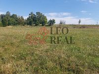 Chalupa+garáž s pozemkem 5500m2 - 20250827_153727.jpg