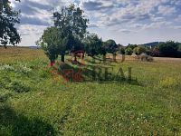 Chalupa+garáž s pozemkem 5500m2 - 20250827_153743.jpg