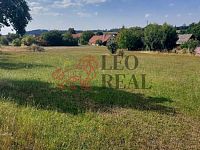 Chalupa v obci Xaverov 20 minut od Prahy - 20250827_153721.jpg