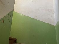 Prodej domu se zahradou k rekonstrukci s projektem a běžícím stavebním povolením, Klíše - Cestička 6.jpg