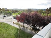 Prodej bytu 1+kk 39m²+ 2 lodžie, sklep a komora - WhatsApp Image 2025-05-19 at 09.54.48-6.jpeg