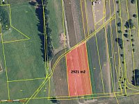 Prodej zemědělských pozemků v katastrálním území Bohuslavice, okres Šumperk - 3_Ortofoto 28.jpg