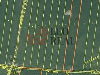 Prodej pole Vstiš 76 424m2