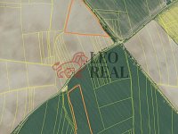 Prodej pole Vstiš 76 424m2 - IMG_4097.jpeg