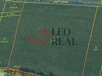 Prodej pole Vstiš 76 424m2 - IMG_4098.jpeg