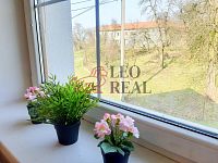 (N396) Pronájem bytu v Bernarticích n/O - Ing. Martin Ščerba - 20210325_144422.jpg