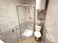 Pronájem bytu 2+1, 65 m2, po kompl. reko., Liberec - Růžodolská