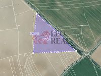 Prodej pole Vstiš 76 424m2 - Celek 3 jpeg.jpg