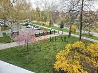 (N398) Pronájem bytu 1+1 v Novém Jičíně, ul. Riegrova - Ing. Martin Ščerba - 20260409_090840 (4).jpg