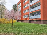 (N398) Pronájem bytu 1+1 v Novém Jičíně, ul. Riegrova
