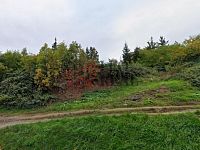 PRODEJ STAVEBNÍHO POZEMKU – KLÍŠE, ÚSTÍ NAD LABEM - Cestička pozemek foto google.jpg