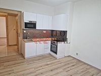 Nabízím pronájem bytu 1+1 v cihlové zástavbě Děčín II. - 20260119_115350.jpg