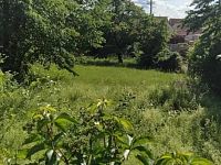 Prodej dvou pozemků ke stavbě RD v obci Šanov okr. Znojmo - CE88B3C7-C47F-4024-926C-6371CACD4A84.jpeg