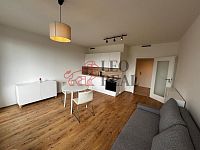 Pronájem bytu 1+kk o velikosti 33 m2 - IMG-20250616-WA0003.jpg