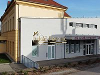 Prodej, stavební parcela, 6957 m2, okr. Beroun, Vysoký Újezd - dji_fly_20221030_091226_509_1668060836482_photo_optimized.jpg