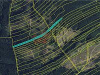 Prodej lesa 33.528 m2