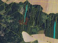 Prodej lesa 33.528 m2 - 0666.jpg