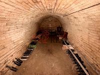 Prodej vinného sklepa se zahradou v Týnci - IMG_5262.jpeg