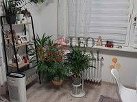 Nabízím prodej dr. bytu 1+1 v centru Děčína IV.. - image10.jpeg