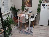 Nabízím prodej dr. bytu 1+1 v centru Děčína IV.. - image11.jpeg